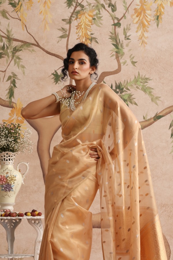 Gold Tissue Pure Organza Banarasi Handloom Sautri Saree